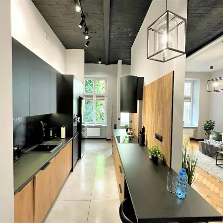 Apartment Luxury 100m2 Loft Design-apartment At Wawel + Netflix Krakau