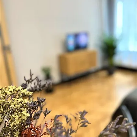 Apartment Luxury 100m2 Loft Design-apartment At Wawel + Netflix Krakau