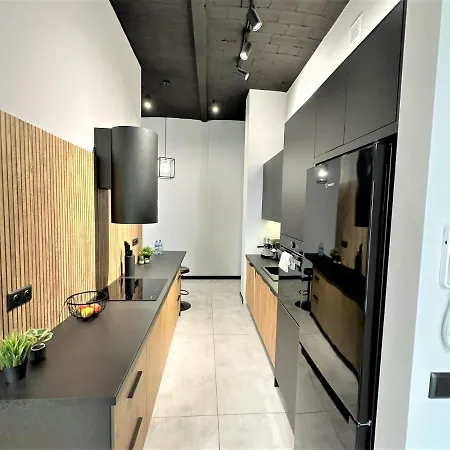 Luxury 100m2 Loft Design-apartment At Wawel + Netflix * Krakau