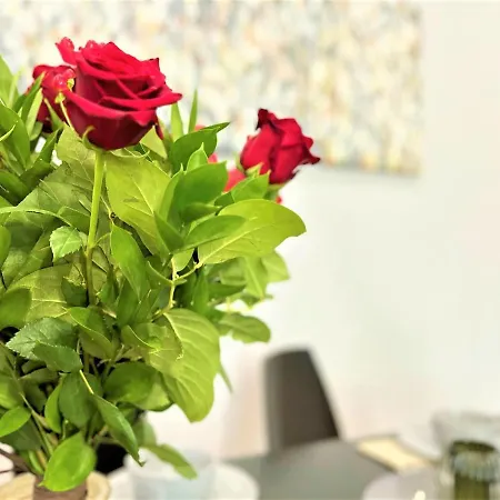 Luxury 100m2 Loft Design-apartment At Wawel + Netflix Apartamento