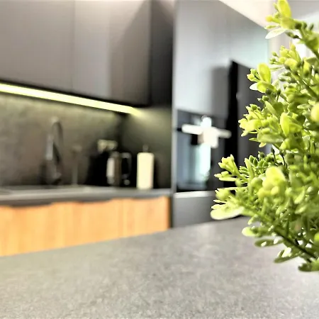 Luxury 100m2 Loft Design-apartment At Wawel + Netflix *