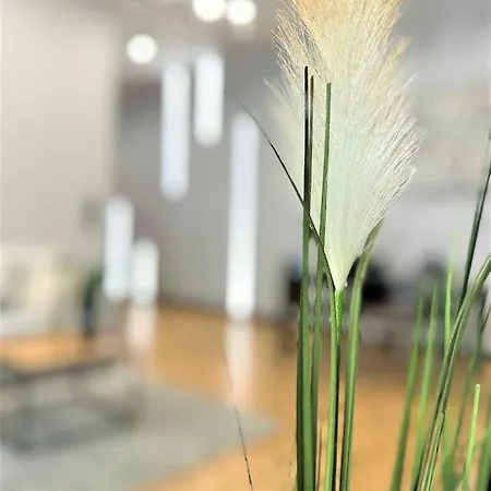 Apartamento Luxury 100m2 Loft Design-apartment At Wawel + Netflix Cracóvia